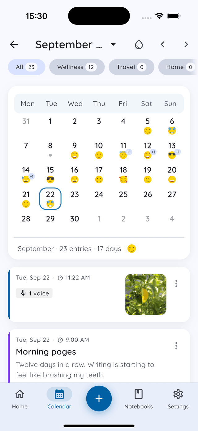 Daykept mood calendar with a mood on each day you wrote and tag filters for All, Wellness, Travel and Home