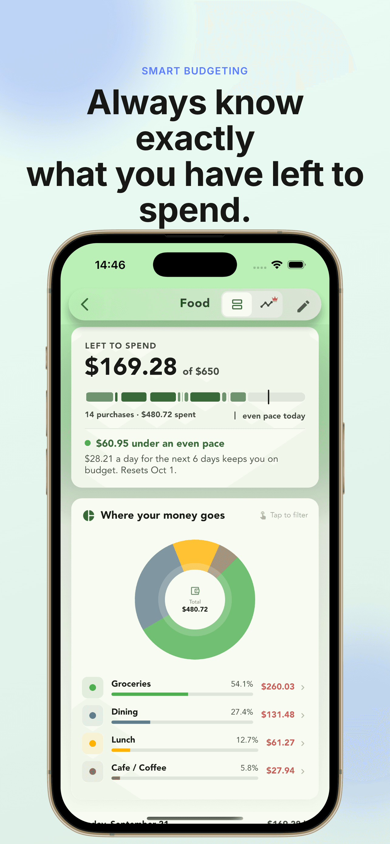 Always know exactly what you have left to spend: a Food budget with the amount left