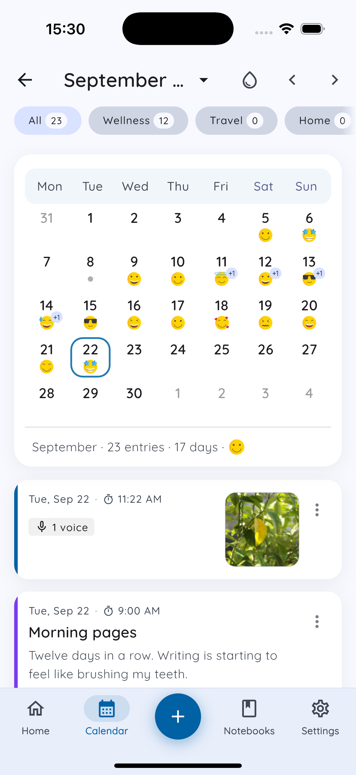 Daykept mood calendar with a mood on each day you wrote