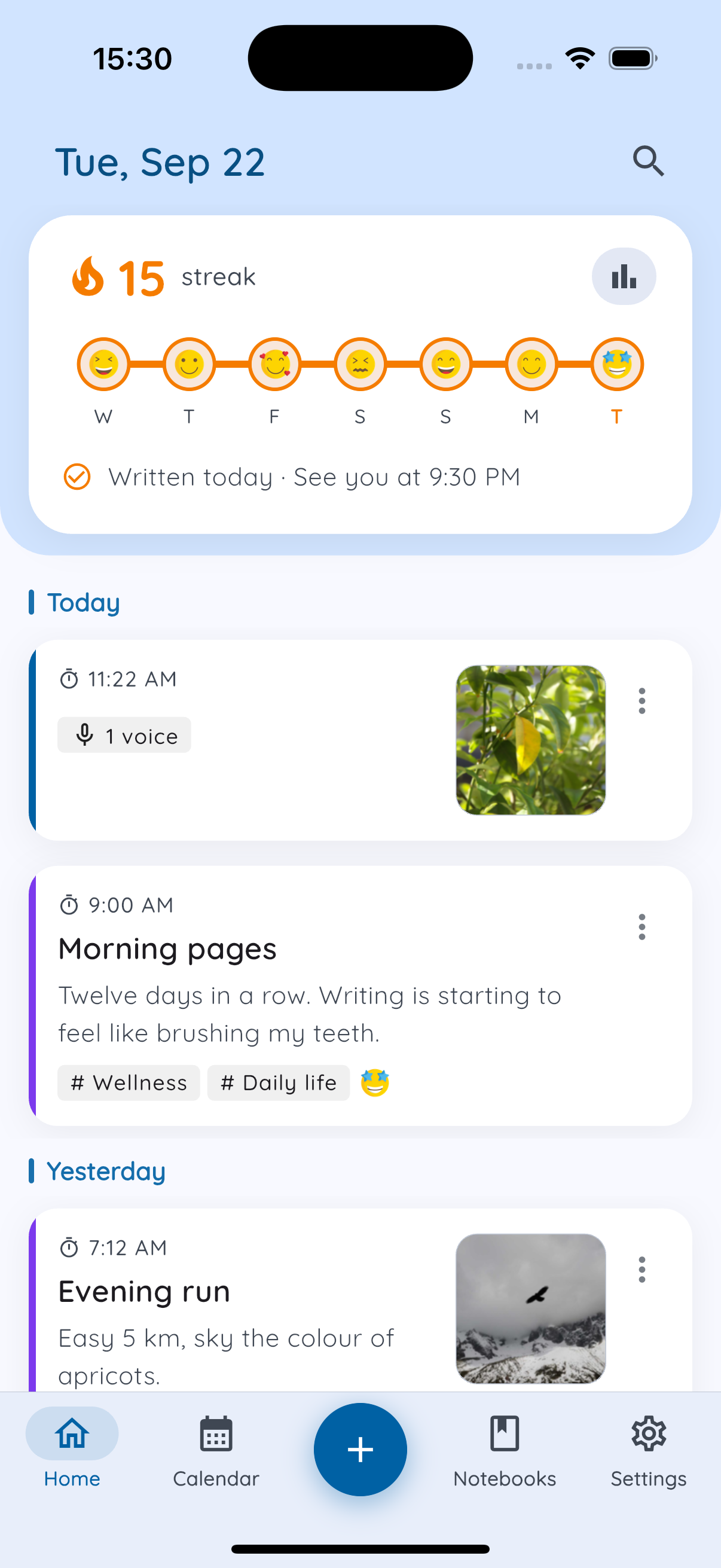 Daykept home with recent entries grouped by day